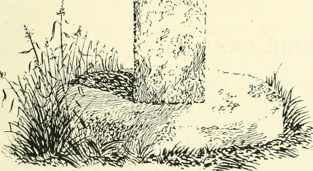 An illustration from Old Cornish crosses, 1896, leaf 372