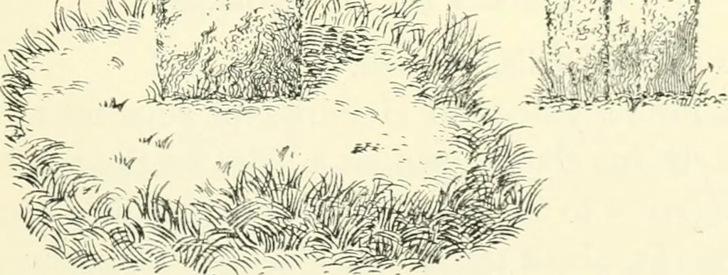 An illustration from Old Cornish crosses, 1896, leaf 388