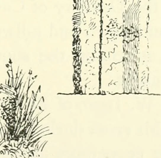An illustration from Old Cornish crosses, 1896, leaf 390