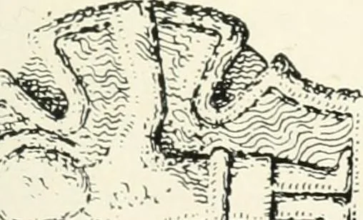 An illustration from Old Cornish crosses, 1896, leaf 426