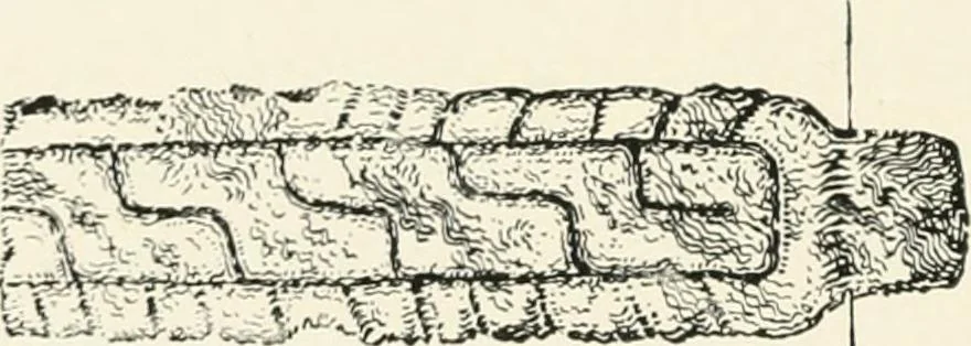 An illustration from Old Cornish crosses, 1896, leaf 439