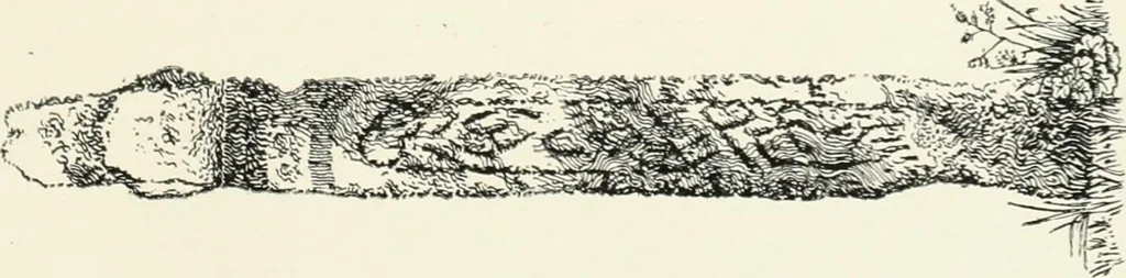 An illustration from Old Cornish crosses, 1896, leaf 454