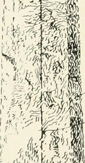 An illustration from Old Cornish crosses, 1896, leaf 473