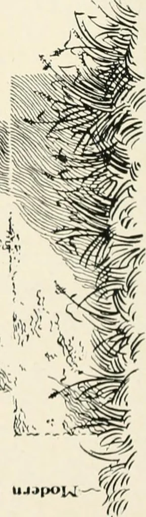 An illustration from Old Cornish crosses, 1896, leaf 479