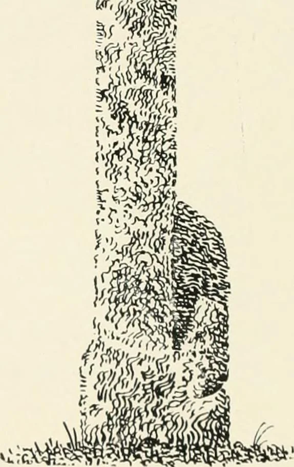 An illustration from Old Cornish crosses, 1896, leaf 487