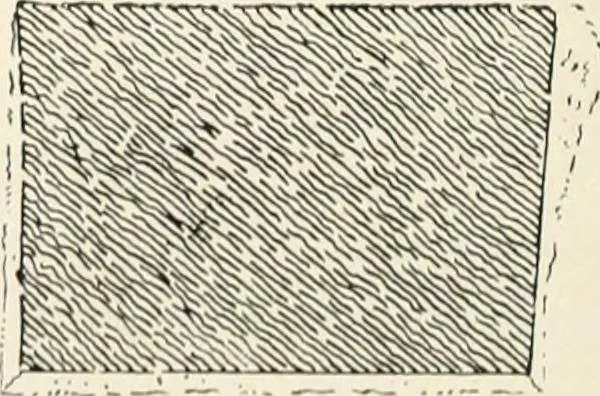 An illustration from Old Cornish crosses, 1896, leaf 487