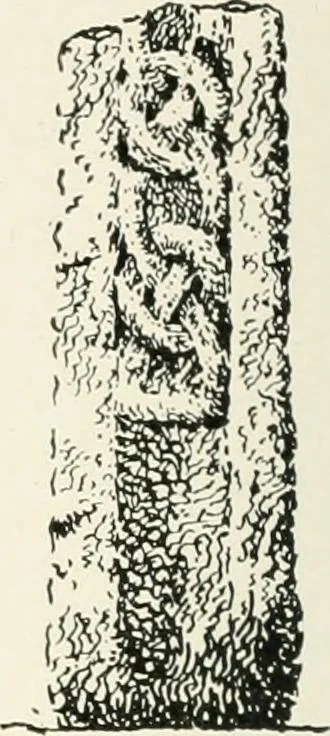 An illustration from Old Cornish crosses, 1896, leaf 499