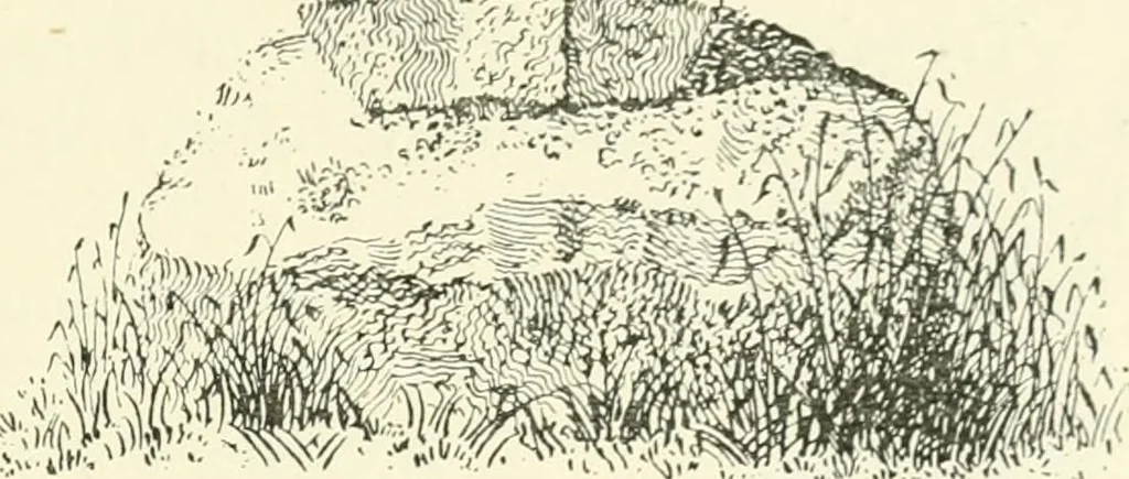 An illustration from Old Cornish crosses, 1896, leaf 82