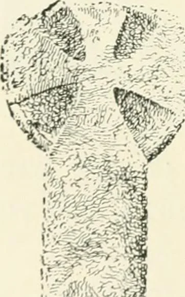 An illustration from Old Cornish crosses, 1896, leaf 85