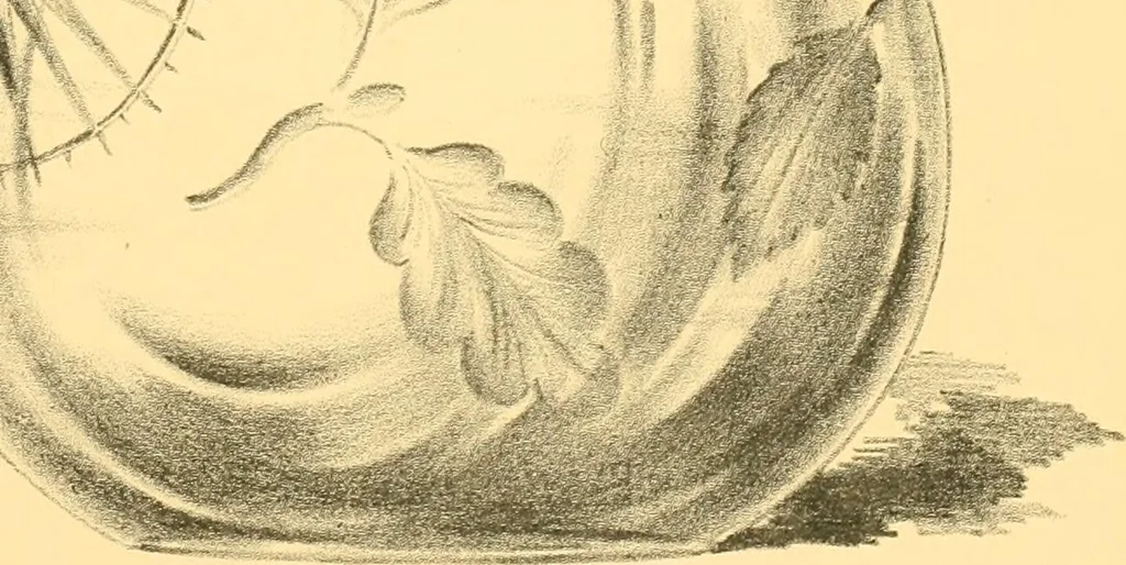 An illustration from Old English glasses. An account of glass drinking vessels in England, from early times to the end of the eighteenth century. With introductory notices, original documents, etc, 1897, leaf 524