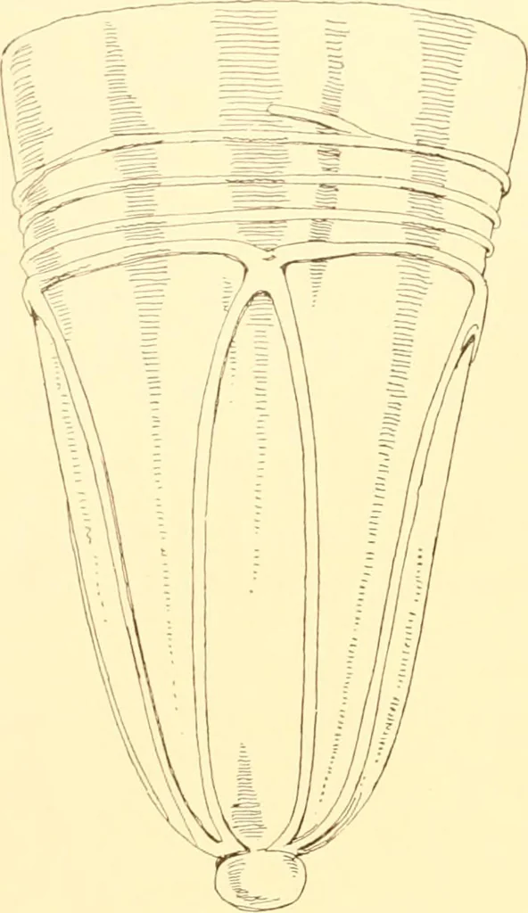 An illustration from Old English glasses. An account of glass drinking vessels in England, from early times to the end of the eighteenth century. With introductory notices, original documents, etc, 1897, leaf 63