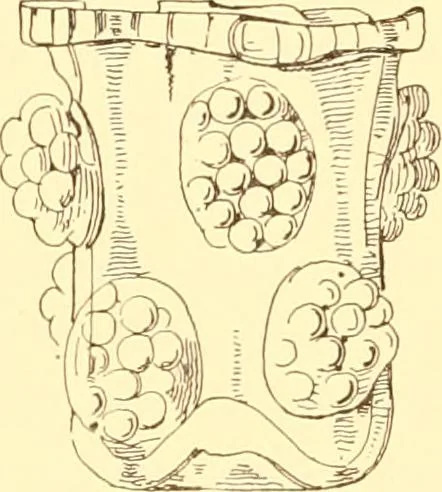 An illustration from Old English glasses. An account of glass drinking vessels in England, from early times to the end of the eighteenth century. With introductory notices, original documents, etc, 1897, leaf 75