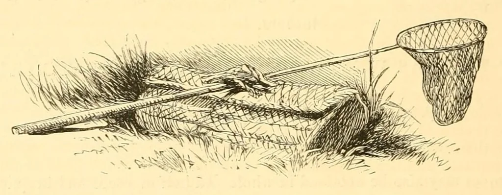 An illustration from An older form of the treatyse of fysshynge wyth an angle, 1883, leaf 72