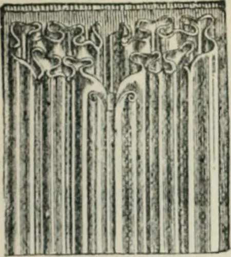 An illustration from How to collect old furniture, 1906, leaf 22