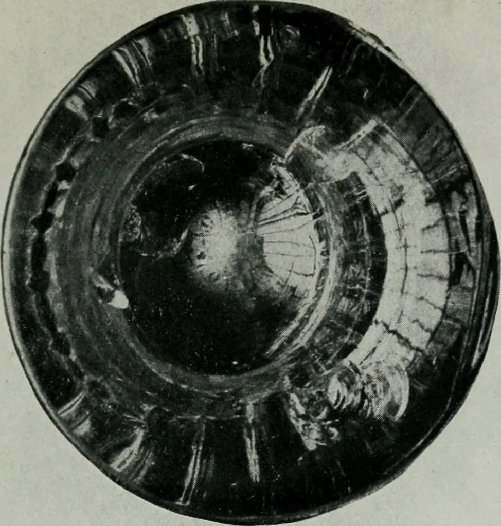 An illustration from Old glass and how to collect it, 1900, leaf 68