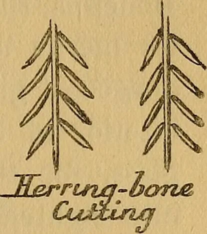 An illustration from Old glass and how to collect it, 1916, leaf 20