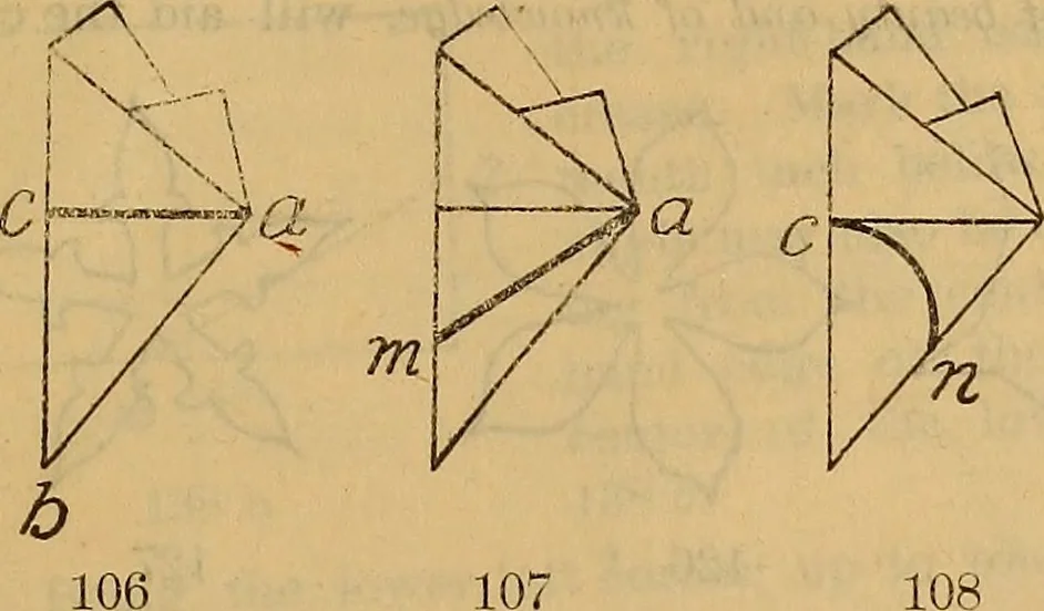 An illustration from "Old glory," the flag of our country, 1894, leaf 38