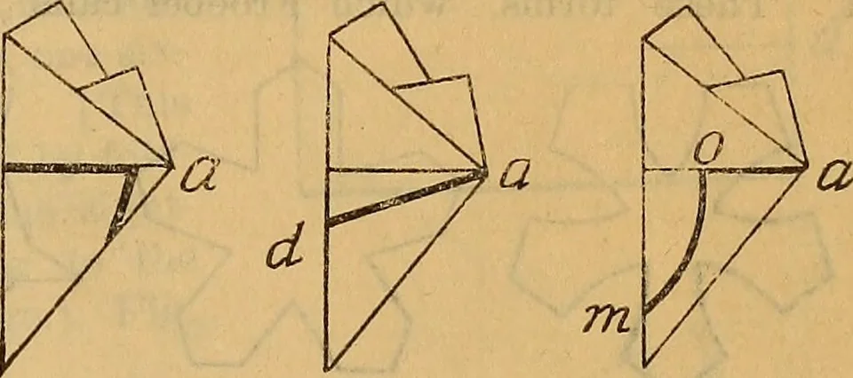 An illustration from "Old glory," the flag of our country, 1894, leaf 38