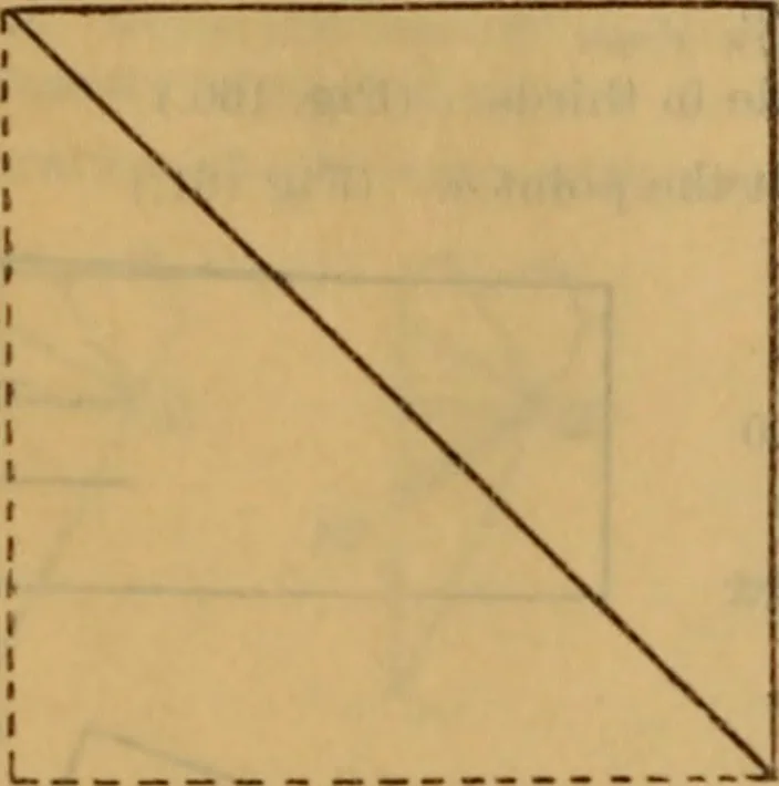 An illustration from "Old glory," the flag of our country, 1894, leaf 43