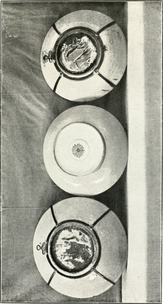 An illustration from Old Hyderabad China : (history, legend, and characteristics), 1916, leaf 72