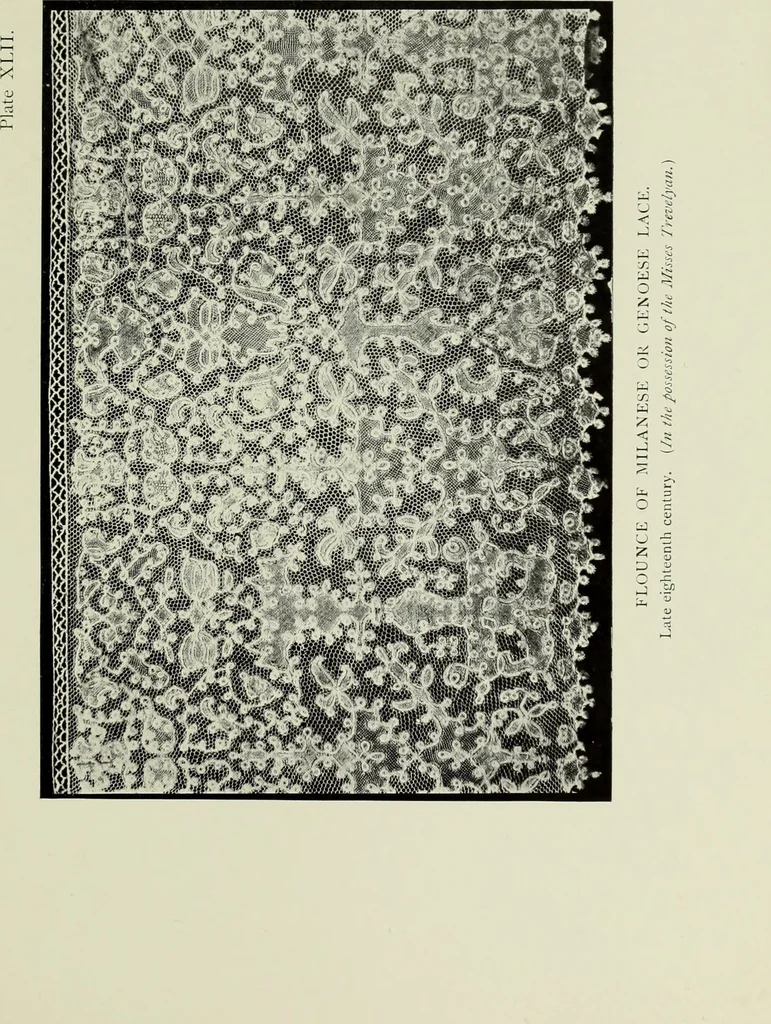 An illustration from Old lace : a handbook for collectors; an account of the different styles of lace, their history, characteristics & manufacture, 1908, leaf 128