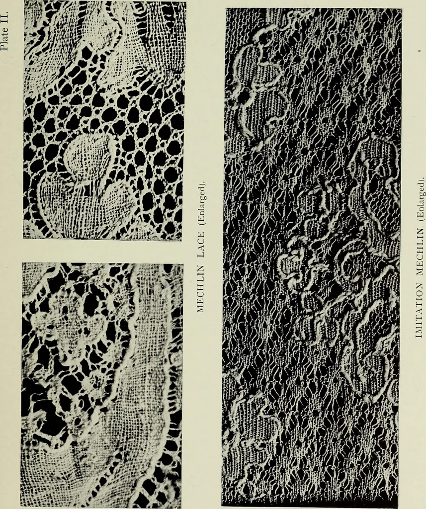 An illustration from Old lace : a handbook for collectors; an account of the different styles of lace, their history, characteristics & manufacture, 1908, leaf 18