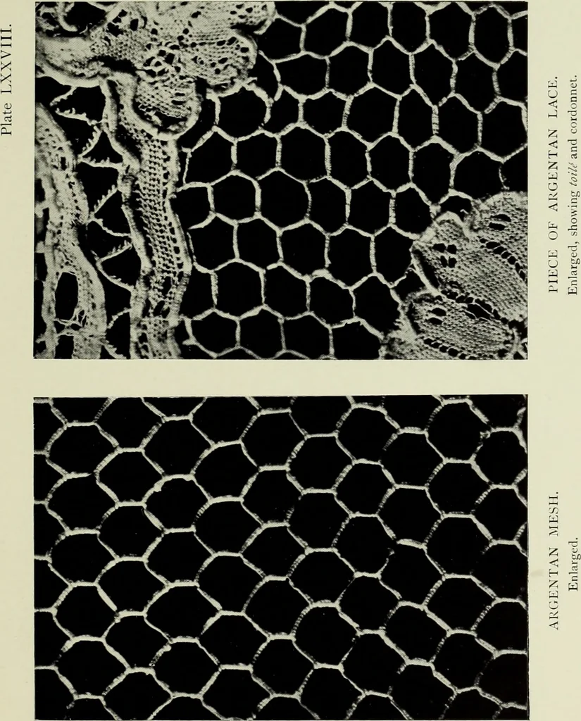 An illustration from Old lace : a handbook for collectors; an account of the different styles of lace, their history, characteristics & manufacture, 1908, leaf 246
