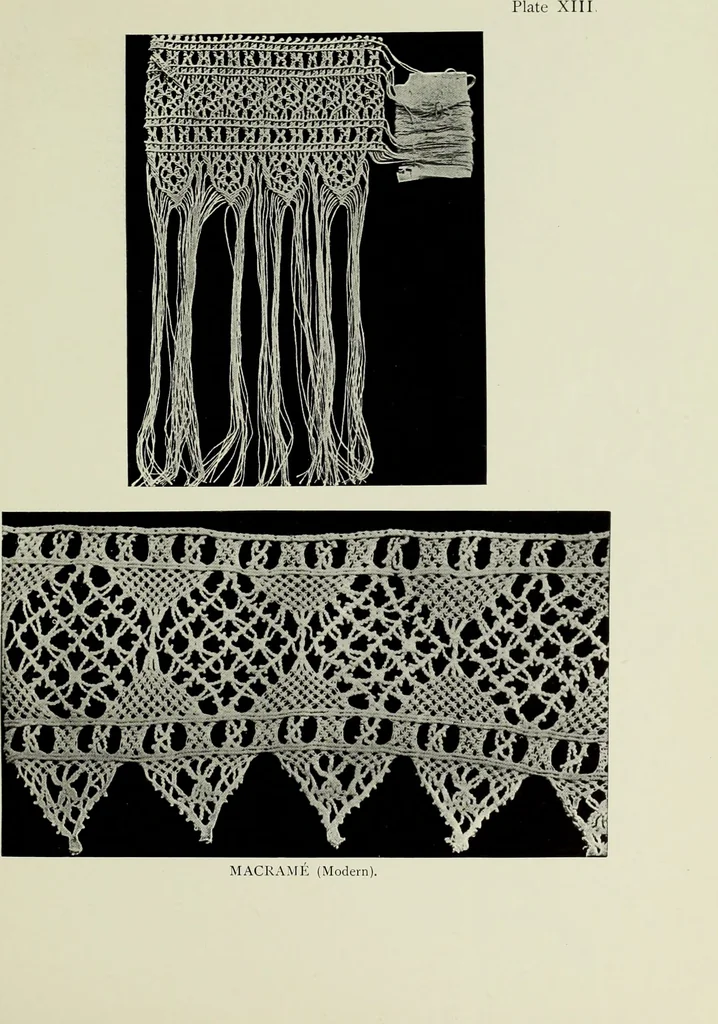 An illustration from Old lace : a handbook for collectors; an account of the different styles of lace, their history, characteristics & manufacture, 1908, leaf 54