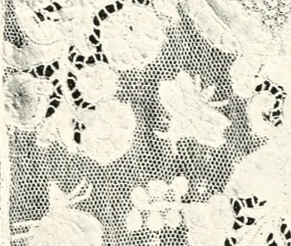 An illustration from Old lace, a handbook for collectors; an account of the different styles of lace, their history, characteristics & manufacture, 1909, leaf 166