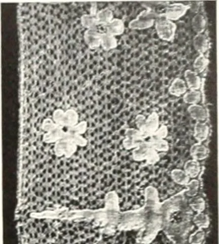 An illustration from Old lace, a handbook for collectors; an account of the different styles of lace, their history, characteristics & manufacture, 1909, leaf 170