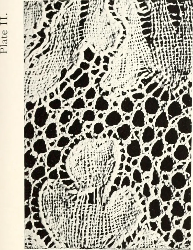 An illustration from Old lace, a handbook for collectors; an account of the different styles of lace, their history, characteristics & manufacture, 1909, leaf 18