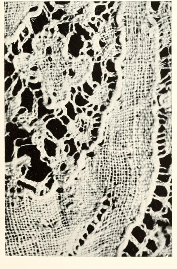 An illustration from Old lace, a handbook for collectors; an account of the different styles of lace, their history, characteristics & manufacture, 1909, leaf 18