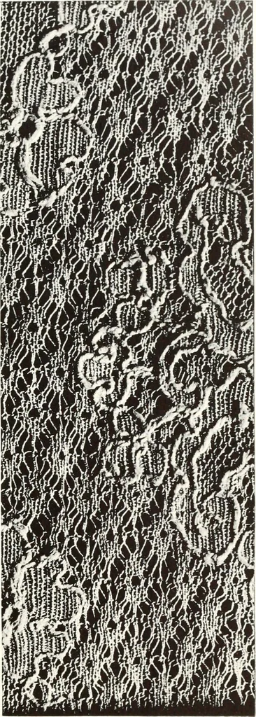 An illustration from Old lace, a handbook for collectors; an account of the different styles of lace, their history, characteristics & manufacture, 1909, leaf 18