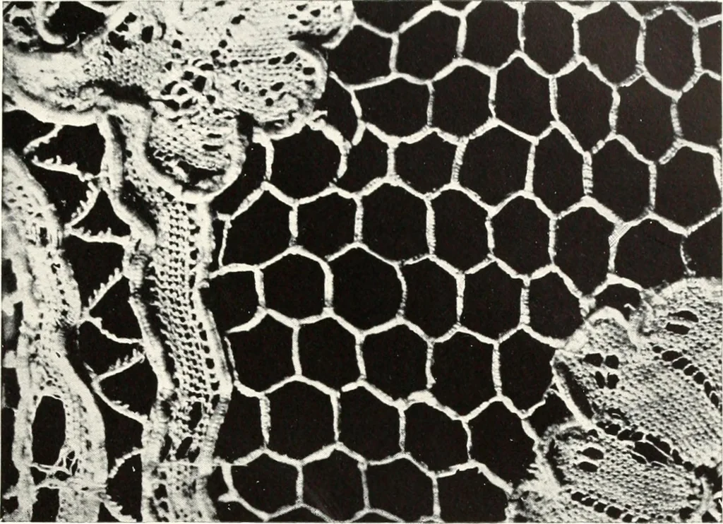 An illustration from Old lace, a handbook for collectors; an account of the different styles of lace, their history, characteristics & manufacture, 1909, leaf 242