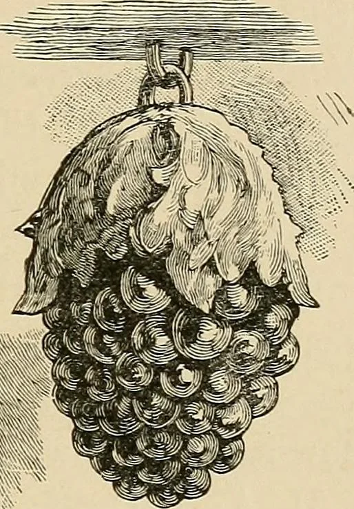 An illustration from Old landmarks and historic personages of Boston, 1901, leaf 136