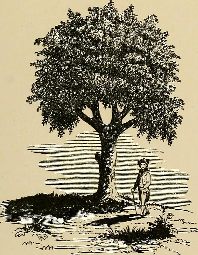 An illustration from Old landmarks and historic personages of Boston, 1901, leaf 446