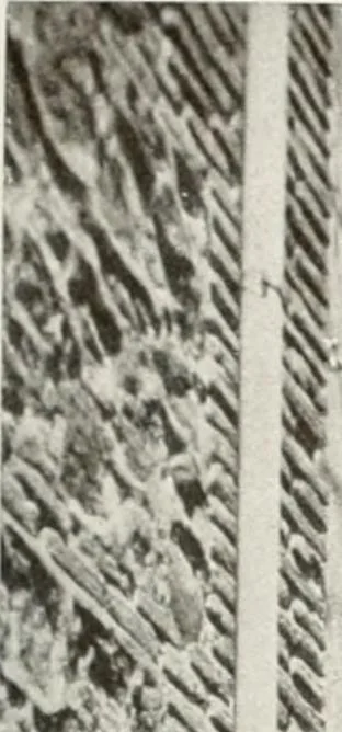 An illustration from Old Spain, 1921, leaf 60