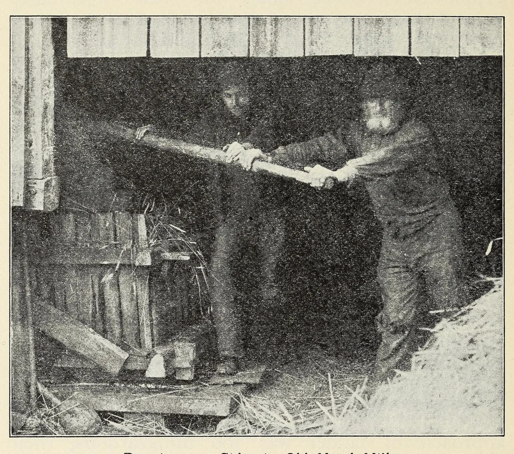 An illustration from Old time gardens, newly set forth, 1901, leaf 272