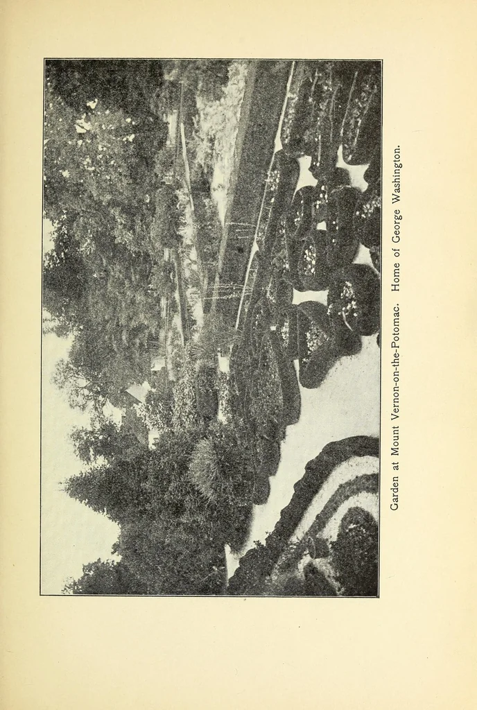 An illustration from Old time gardens, newly set forth, 1901, leaf 39