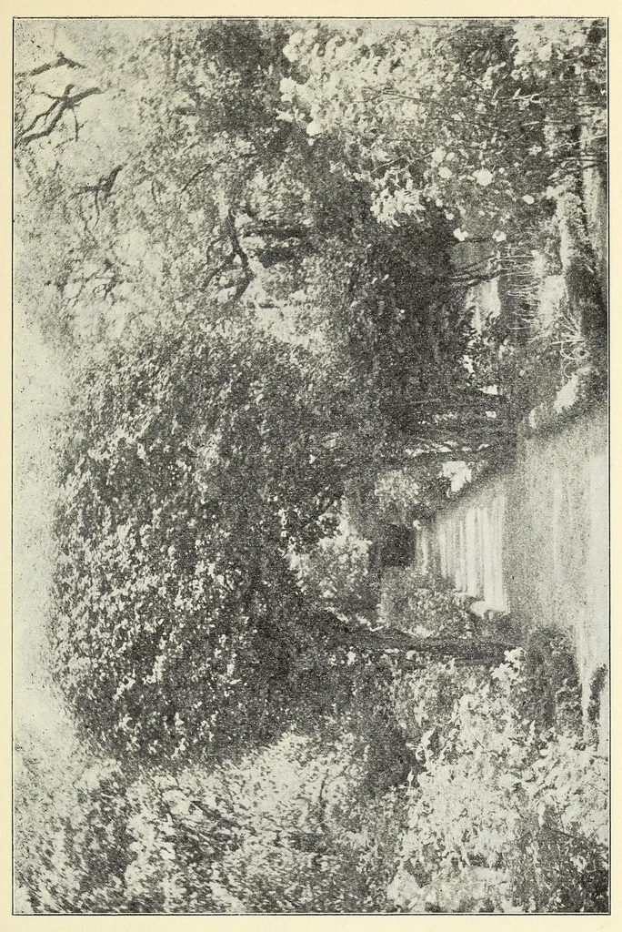 An illustration from Old time gardens, newly set forth, 1901, leaf 449