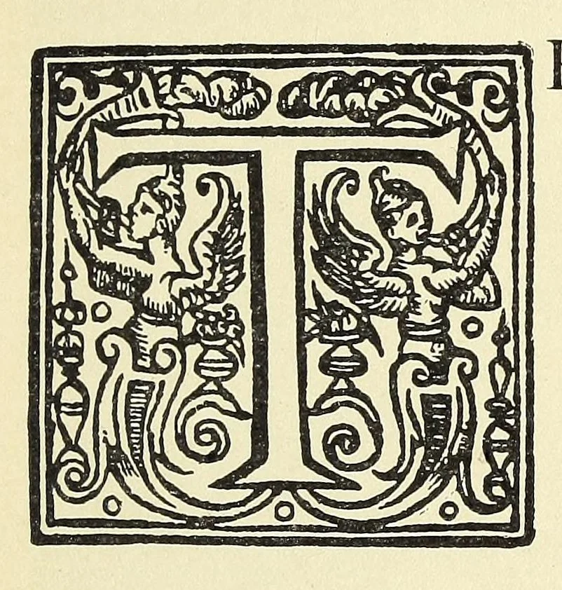 An illustration from Old time gardens, newly set forth, 1901, leaf 589