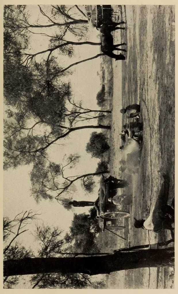 An illustration from The old transport road, 1914, leaf 111