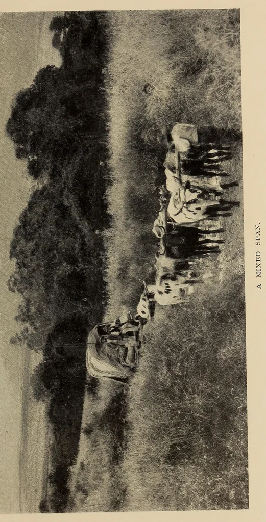 An illustration from The old transport road, 1914, leaf 131