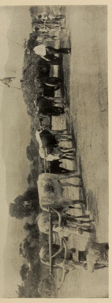 An illustration from The old transport road, 1914, leaf 215