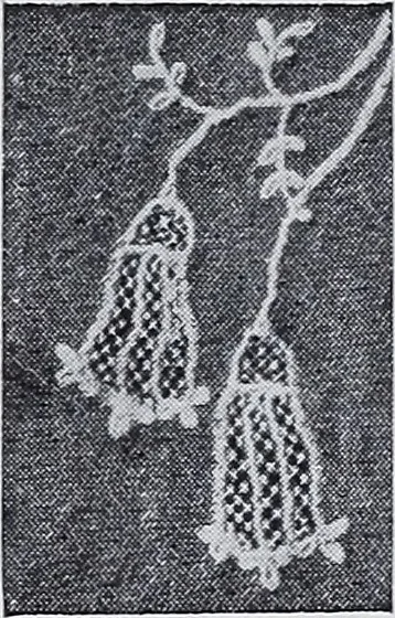 An illustration from Old world lace; or, A guide for the lace lover, 1920, leaf 84