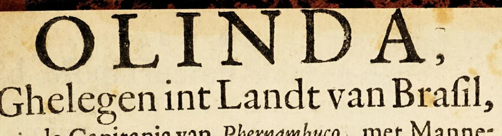 An illustration from Olinda, ghelegen int landt van Brasil, inde capitania van Phernambuco, : met mannelijcke dapperheyt ende groote couragie inghenomen, ende geluckelijck verovert op den 16. Februarij A°. 1630. Onder het beleydt vanden seer manhaften ende cloeckmoedigen zee-helt, den Heere Henrick Lonck, generael weghen de geoctroyeerde West-Indische Compagnie, over een machtige vloote schepen, door den VVel-Edelen, seer gestrengen ende grootmoedige[n] Heere Diederich van Weerdenburg, Heere van Lent, Velt-Overste ende Colonel over dry Regimenten Infanterie., 1630, leaf 7