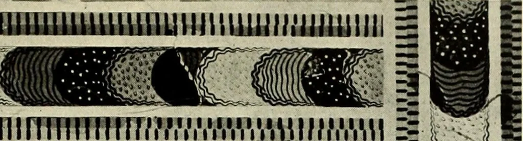 An illustration from Olympic victor monuments and Greek athletic art, 1921, leaf 30