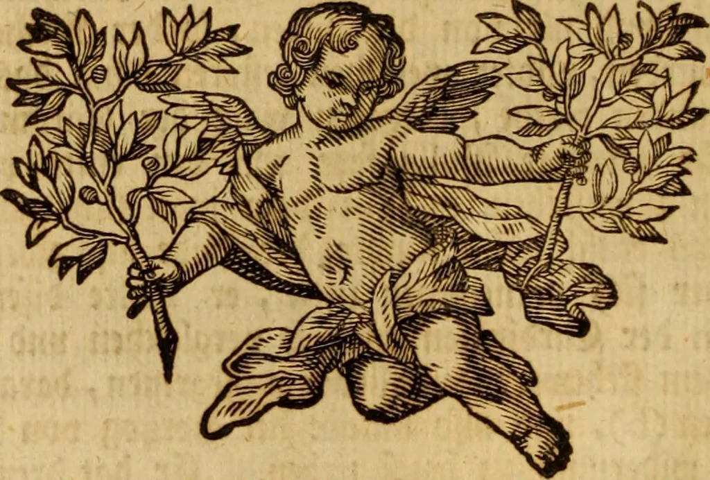 An illustration from Ombrassische Helden-Rüst-Kammer : welche von Ferdinanden, Ertzhertzogen zu Oesterreich, herrlich angerichtet, 1735, leaf 305