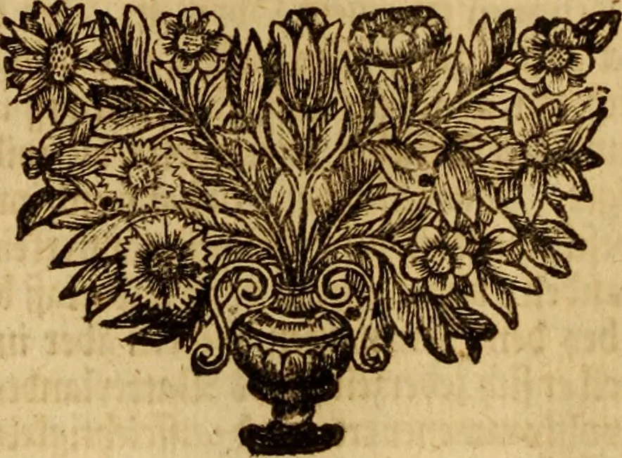 An illustration from Ombrassische Helden-Rüst-Kammer : welche von Ferdinanden, Ertzhertzogen zu Oesterreich, herrlich angerichtet, 1735, leaf 359