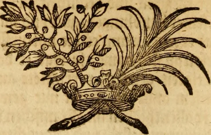 An illustration from Ombrassische Helden-Rüst-Kammer : welche von Ferdinanden, Ertzhertzogen zu Oesterreich, herrlich angerichtet, 1735, leaf 87